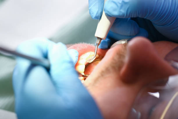 Best Emergency Pediatric Dentist  in Negaunee, MI